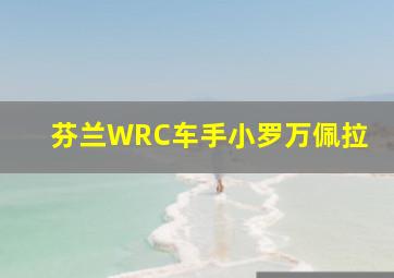 芬兰WRC车手小罗万佩拉