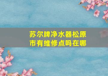 苏尔牌净水器松原市有维修点吗在哪