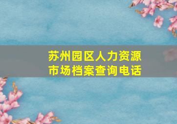 苏州园区人力资源市场档案查询电话