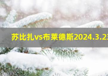 苏比扎vs布莱德斯2024.3.23