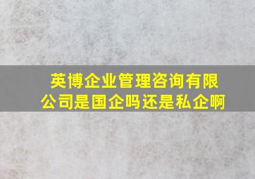 英博企业管理咨询有限公司是国企吗还是私企啊