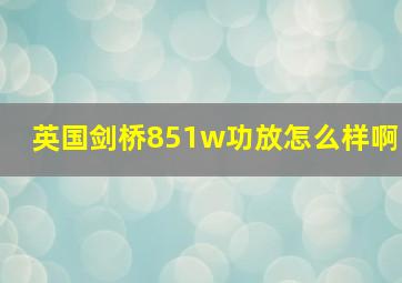 英国剑桥851w功放怎么样啊