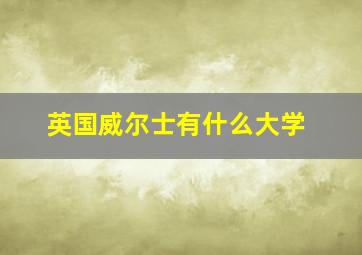 英国威尔士有什么大学