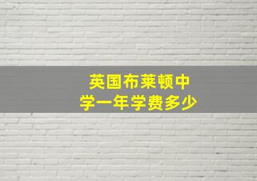 英国布莱顿中学一年学费多少