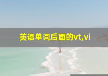 英语单词后面的vt,vi