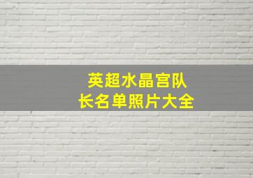 英超水晶宫队长名单照片大全