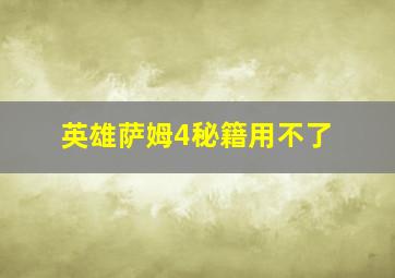 英雄萨姆4秘籍用不了