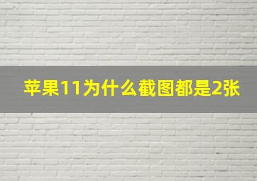 苹果11为什么截图都是2张