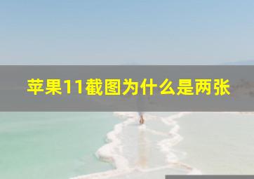 苹果11截图为什么是两张