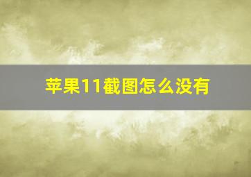 苹果11截图怎么没有