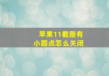 苹果11截图有小圆点怎么关闭