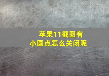 苹果11截图有小圆点怎么关闭呢