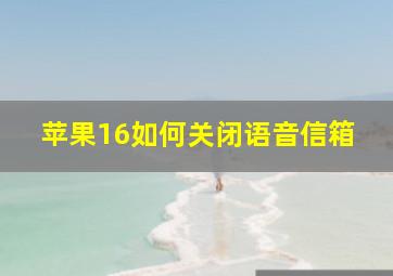 苹果16如何关闭语音信箱