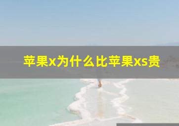 苹果x为什么比苹果xs贵