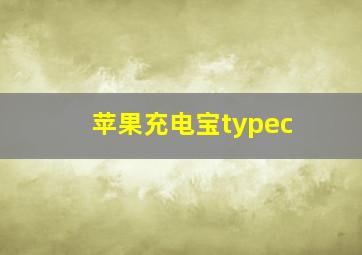 苹果充电宝typec