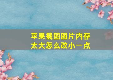 苹果截图图片内存太大怎么改小一点