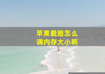 苹果截图怎么调内存大小啊