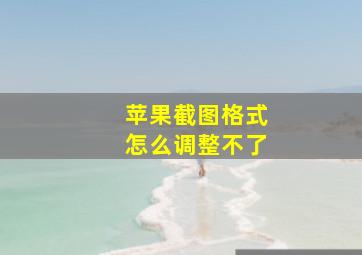 苹果截图格式怎么调整不了