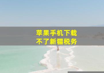 苹果手机下载不了新疆税务