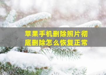 苹果手机删除照片彻底删除怎么恢复正常