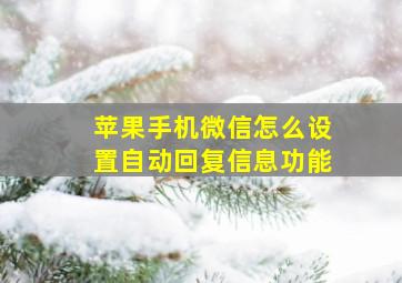 苹果手机微信怎么设置自动回复信息功能