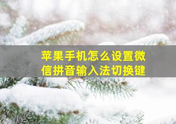 苹果手机怎么设置微信拼音输入法切换键