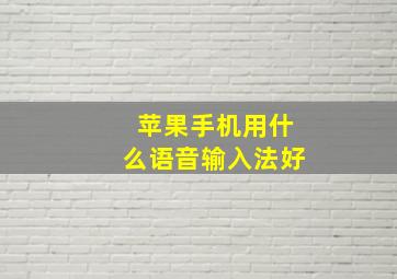 苹果手机用什么语音输入法好