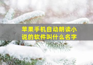 苹果手机自动朗读小说的软件叫什么名字