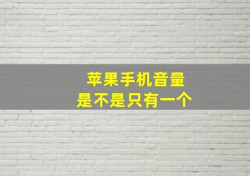 苹果手机音量是不是只有一个