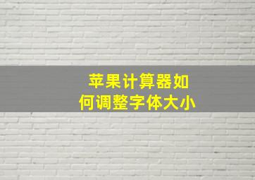 苹果计算器如何调整字体大小