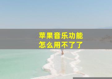 苹果音乐功能怎么用不了了