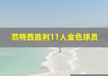 范特西胜利11人金色球员