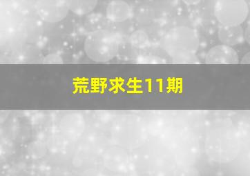 荒野求生11期