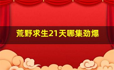 荒野求生21天哪集劲爆