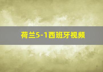 荷兰5-1西班牙视频