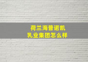 荷兰海普诺凯乳业集团怎么样