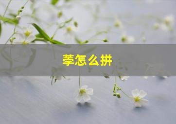 荸怎么拼