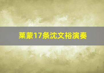 莱蒙17条沈文裕演奏