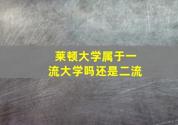 莱顿大学属于一流大学吗还是二流