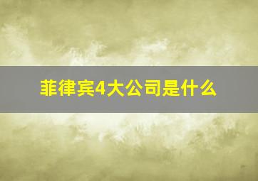 菲律宾4大公司是什么