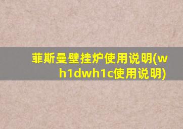 菲斯曼壁挂炉使用说明(wh1dwh1c使用说明)