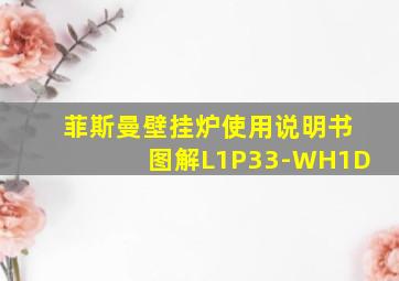 菲斯曼壁挂炉使用说明书图解L1P33-WH1D