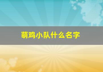 萌鸡小队什么名字