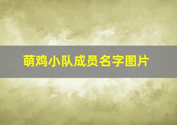 萌鸡小队成员名字图片