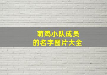 萌鸡小队成员的名字图片大全