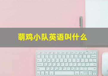 萌鸡小队英语叫什么