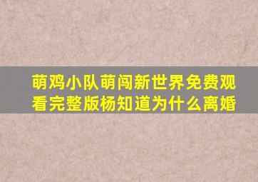 萌鸡小队萌闯新世界免费观看完整版杨知道为什么离婚