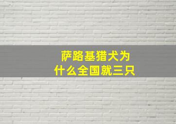 萨路基猎犬为什么全国就三只