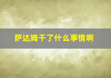 萨达姆干了什么事情啊