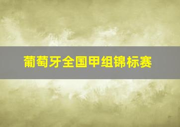 葡萄牙全国甲组锦标赛